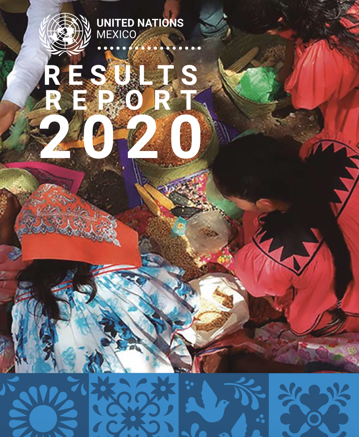 Result Report 2020 United Nations Mexico