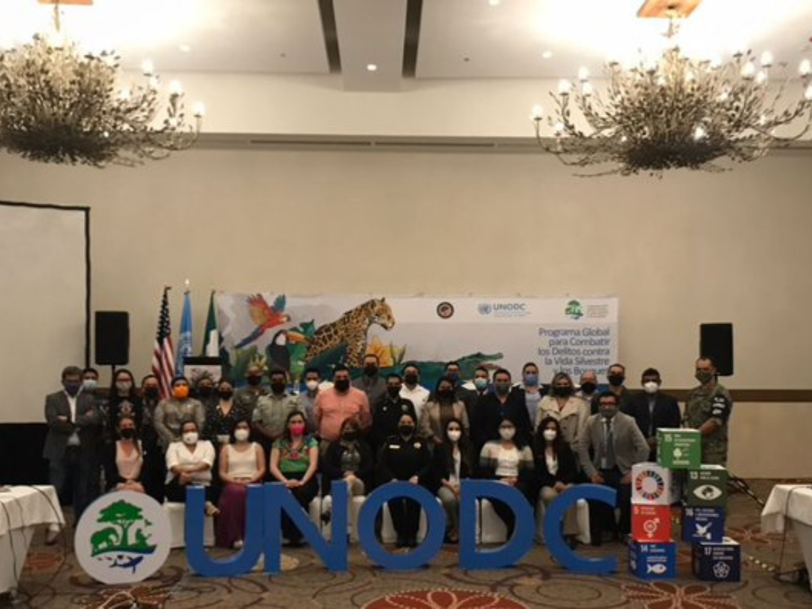 UNODC celebra el primer Encuentro Nacional Ambiental por el Día Internacional del Jaguar