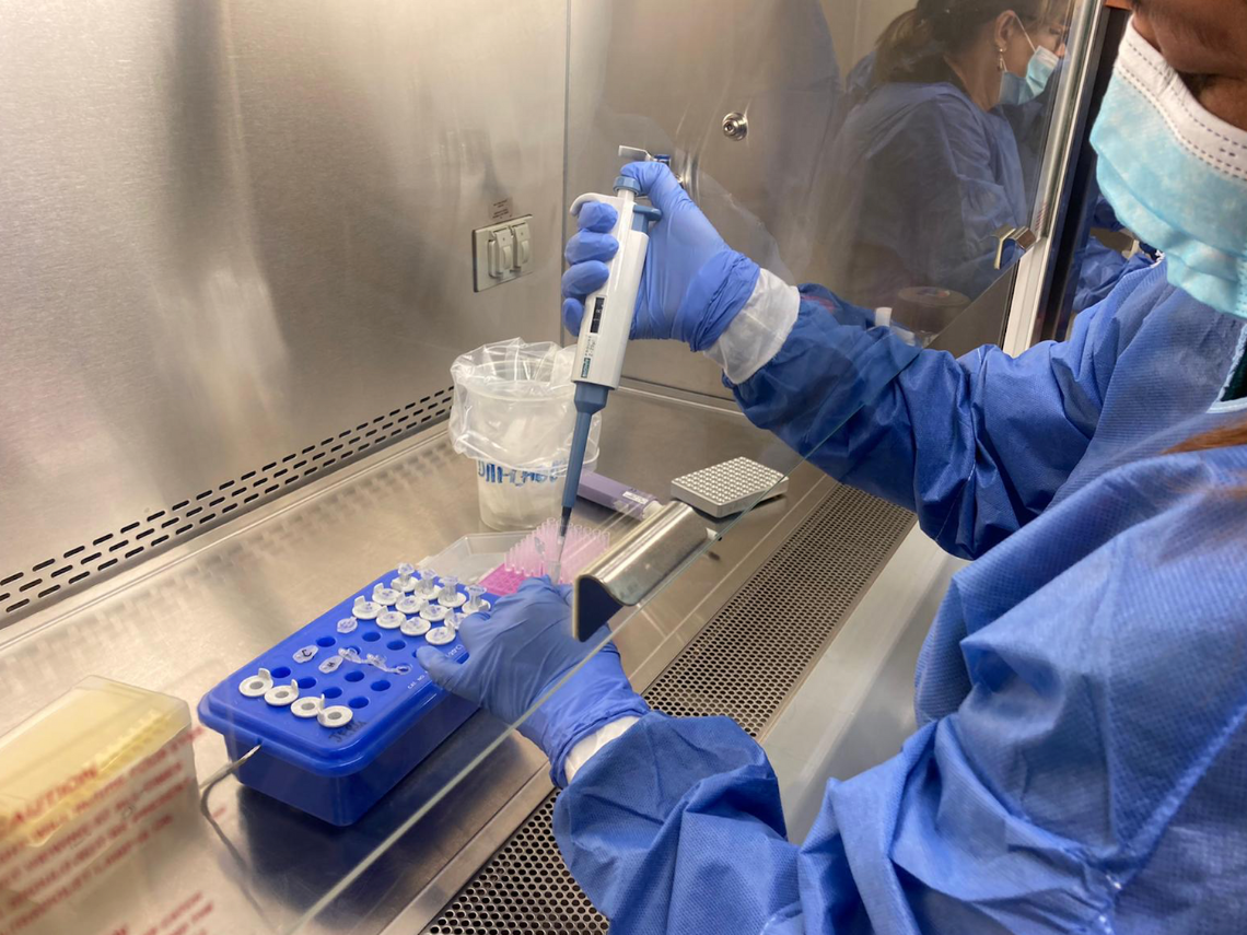 Profesionales de laboratorio de nueve países de las Américas y de México se capacitan en la detección de la viruela símica con apoyo del InDRE y de OPS.