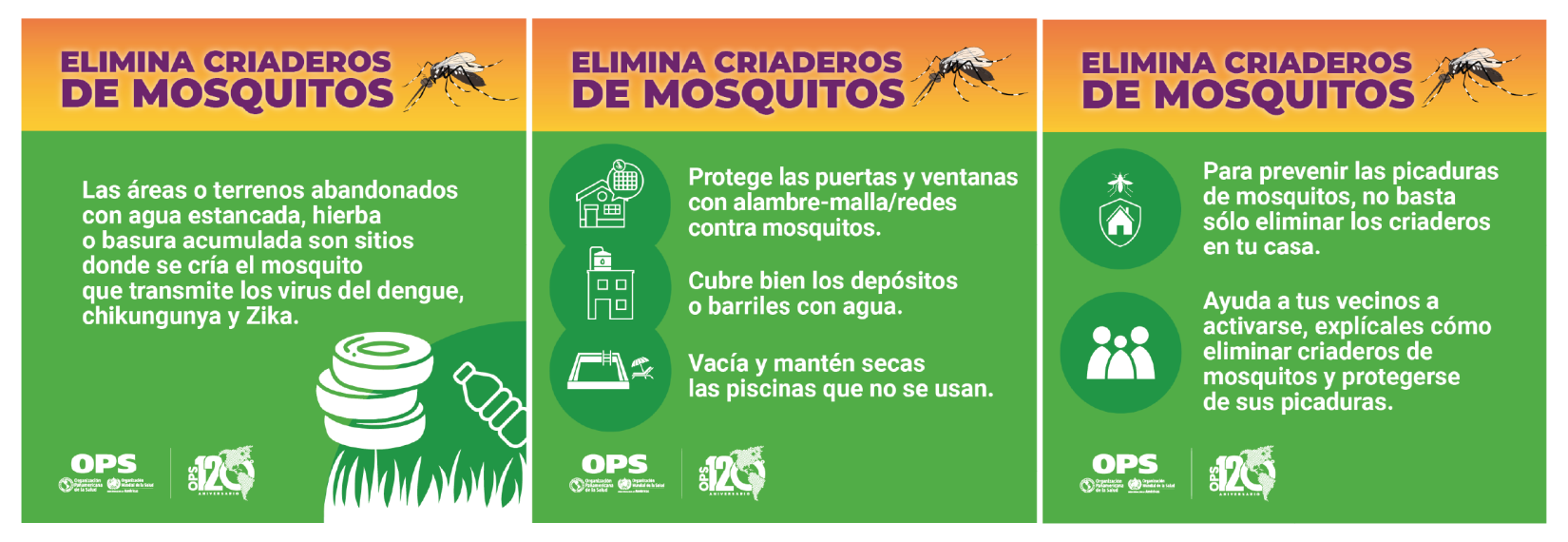 Elimina criaderos de mosquitos