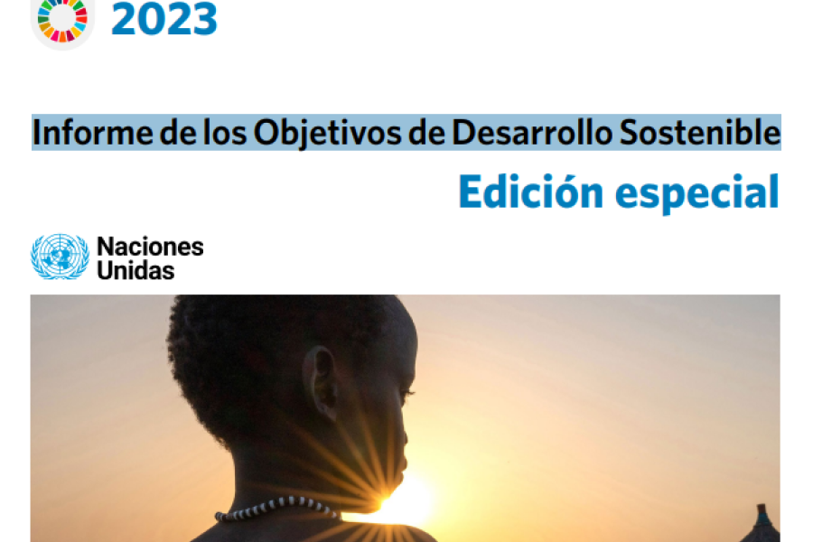 Informe De Los Objetivos De Desarrollo Sostenible. Edición Especial ...