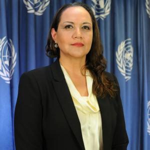 Dolores Barrientos Alemán, Representante en México del PNUMA