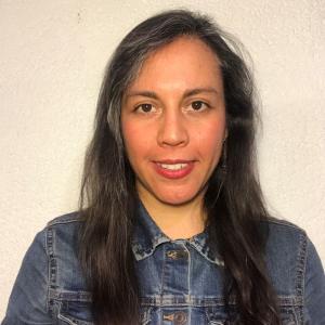 Laura Reyes Hernández, Consultora de comunicación del PNUMA en México