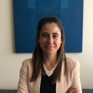 Mariana Alegret Cendejas, Titular de Área de Coordinación de la UNODC en México