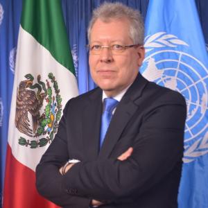 Peter Grohmann, Coordinador Residente del SNU en México