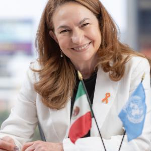 Moni Pizani Orsini, Representante a.i, de ONU Mujeres en México