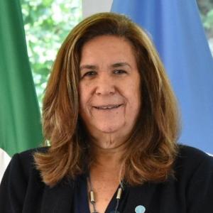 Lina Pohl Alfaro, Representante FAO